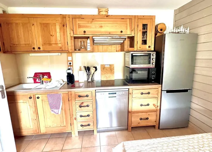 Nid Douillet Au Pied Des Pistes